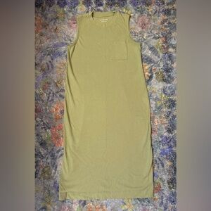 Everlane Midi Shirt Dress